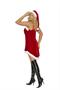 Santa's Sweetie - 2 pc. costume