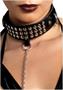Studded collar