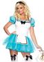 2 PC. Enchanted Alice Costume