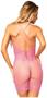 Fishnet mini dress with embroidered appliqu? bodice