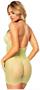 Fishnet mini dress with embroidered appliqu? bodice