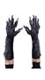 Gray Werewolf Hands