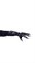 Gray Werewolf Hands