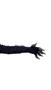 Gray Werewolf Hands