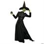 Classic Witch Adult Large