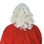 Santa Wig And Beard Reg