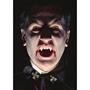 Fangs Vampire In Coffin Accessory