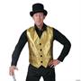 Gold Vest Adult