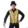 Gold Vest Adult