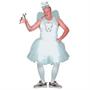 Tooth Fairy Adult Costume