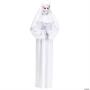 Scary Mary Adult Costume