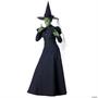 Wizard Of The Oz Witch Costume