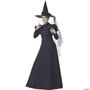 Wizard Of The Oz Witch Costume