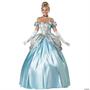 Enchanting Princess Costume
