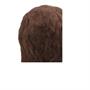 Michael Myers Blood Tears Mask