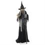 Lunging Haggard Witch Animated