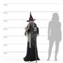 Lunging Haggard Witch Animated