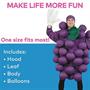 Grapes Purple Adult Costume