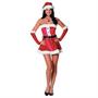Santa's Sweetie Costume