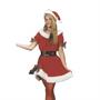 Miss. Santa Adult Costume