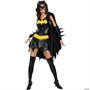 Batgirl Adult Costume
