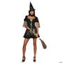 The Wizard of Oz Sexy Wicked Witch of the West Adult Costume