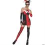 Joker Villain Harley Quinn Adult Costume