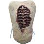 Autopsy Vest