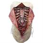 Autopsy Vest