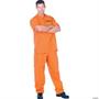 Public Offender Costume