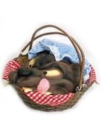 Basket with Wolf's Head