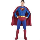Supreme Superman Muscle Chest (Lycra) Adult