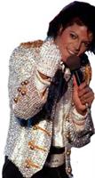Michael Jackson Adult Sequin Glove