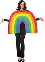 Rainbow Adult Costume