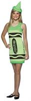 Screamin' Green Crayola Crayon Teen Costume