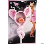 Pig Accessory Kit