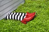 Wizard of Oz - Wicked Witch Of The East Legs