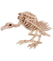 Skeleton Vulture