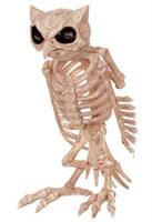 Skeleton Owl