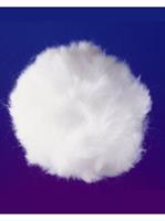Bunny Rabbit Tail
