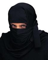 Adult Ninja Headpiece