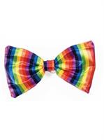 Rainbow Bow Tie