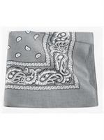 Silver Bandana