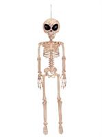 Alien Skeleton