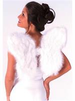 Feather Wings- White