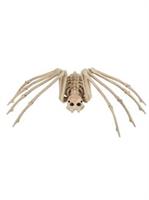 20.5 Inch Skeleton Spider