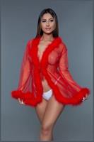 Sheer short length robe