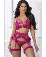 Lace Up Top, w/Matching Cheekini, Garterbelt and Leg Garters Berry Sorbet
