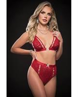 Sexy and Sultry High Waist Panty and Bra Red