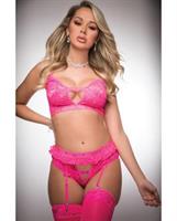 Pinklicious Bra Top, High Waist Hip Hugger Garter Panty Love Me Pink